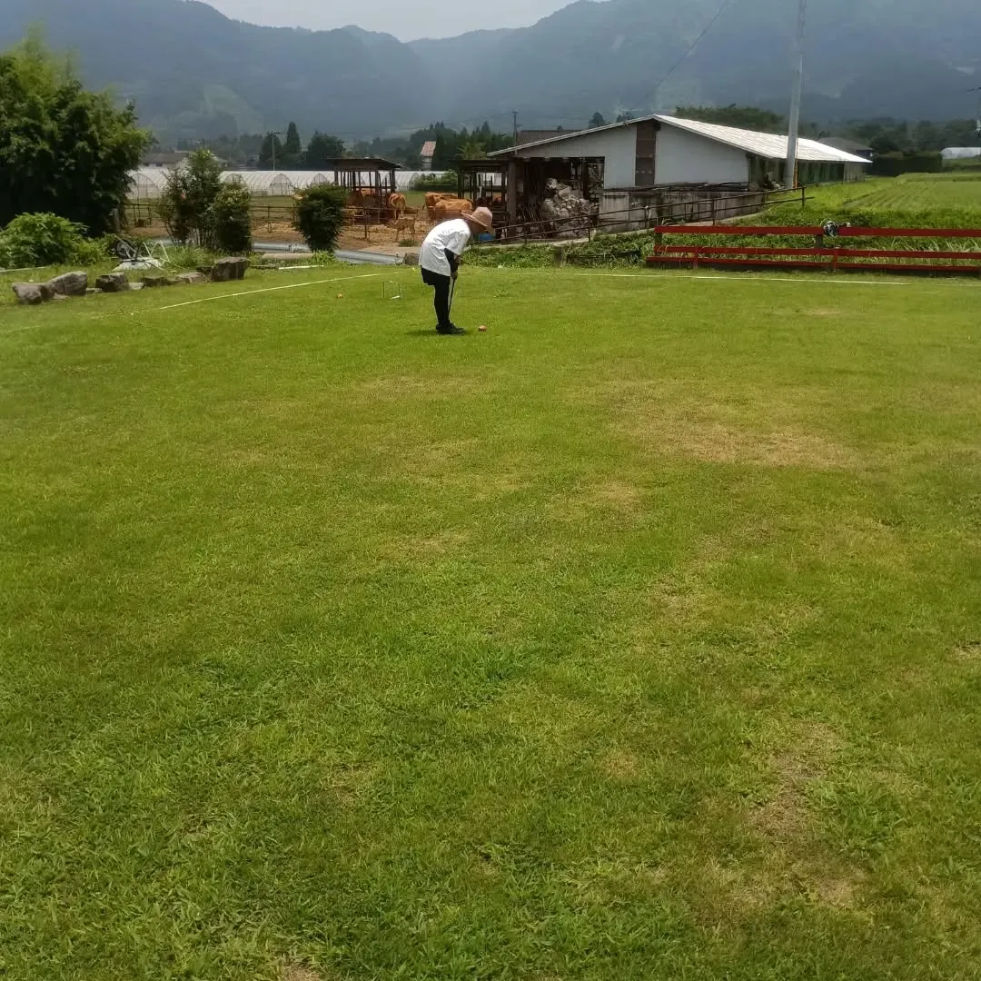 投稿が遅くなりましたが……